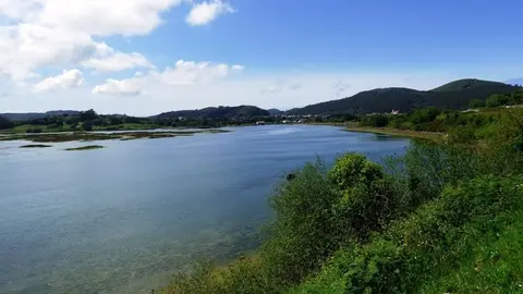 Marisma de Argo&ntilde;os