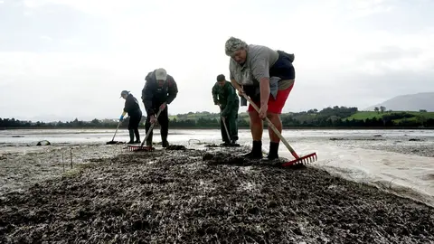 Archivo - Mariscadores de almeja. Archivo