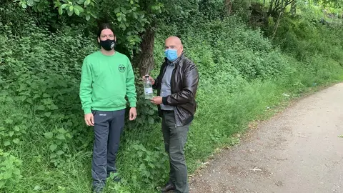 Trampeo avispa asi&aacute;tica en Pi&eacute;lagos