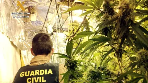 Operaci&oacute;n Claridad