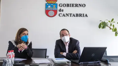 La consejera de Presidencia, Interior, Justicia y Acci&oacute;n Exterior, Paula Fern&aacute;ndez Via&ntilde;a, y el director general de Industria, Energ&iacute;a y Minas, Daniel Alvear, intervienen en la reuni&oacute;n del Intergrupo de automoci&oacute;n del Comit&eacute; de las Regiones.