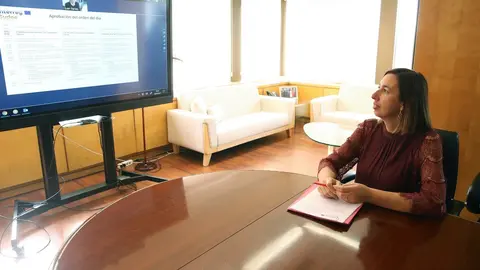 La Consejera De Econom&iacute;a Y Hacienda, Mar&iacute;a S&aacute;nchez, Inaugura El Comit&eacute; De Seguimiento Del Programa Interreg Sudoe 2014-2020