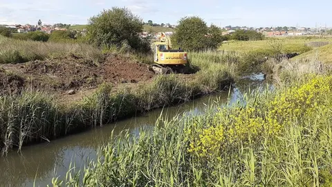 Zona de marisma del barrio Las Presas