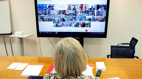 Los Consejeros De Educaci&oacute;n, Marina Lomb&oacute;, Y De Sanidad, Miguel Rodr&iacute;guez, Participan, De Forma Telem&aacute;tica, En La Sesi&oacute;n Extraordinaria Conjunta De La Conferencia Sectorial De Educaci&oacute;n Y Consejo Interterritorial Del Sistema Nacional De Salud.