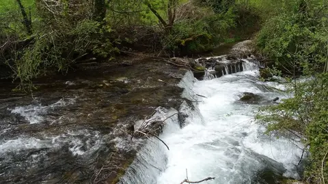 Reservas fluviales del Cant&aacute;brico.
