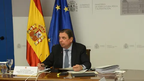 El ministro de Agricultura, Pesca y Alimentaci&oacute;n, Luis Planas