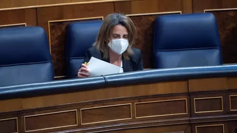 La vicepresidenta cuarta y ministra para la Transici&oacute;n Ecol&oacute;gica y el Reto Demogr&aacute;fico, Teresa Ribera, en una sesi&oacute;n plenaria en el Congreso de los Diputados, a 20 de mayo de 2021, en Madrid, (Espa&ntilde;a). Durante esta sesi&oacute;n se debate, entre otras cuestiones