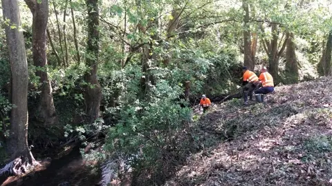 Trabajos de mantenimiento en el r&iacute;o P&aacute;manes