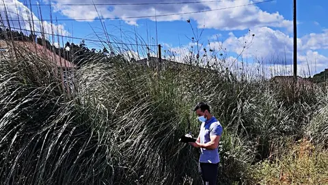 El alcalde en funciones, Alejandro Llano Mart&iacute;nez, en barrio La Estaci&oacute;n geolocalizando el punto a trav&eacute;s de la aplicaci&oacute;n de LIFE Stop Cortaderia