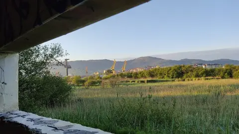 Marismas de Astillero