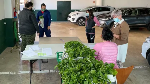 La alcaldesa de Polanco, Rosa D&iacute;az, y los concejales Isabel Herrera y Cristian Olmo, durante el reparto de las plantas de pimiento y berenjena