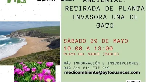 Cartel de la jornada de voluntariado contra la u&ntilde;a de gato