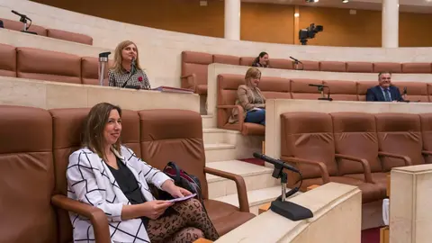 Archivo - La consejera de Econom&iacute;a y Hacienda del Gobierno regional, Mar&iacute;a S&aacute;nchez, en el Parlamento de Cantabria. Foto de archivo