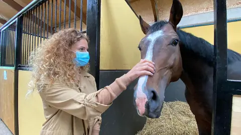 Qui&ntilde;ones en el centro militar de cr&iacute;a caballar de Ibio
