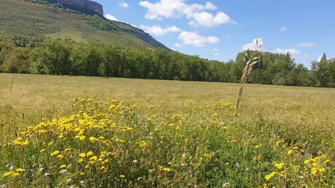 Primavera en el sur de Cantabria