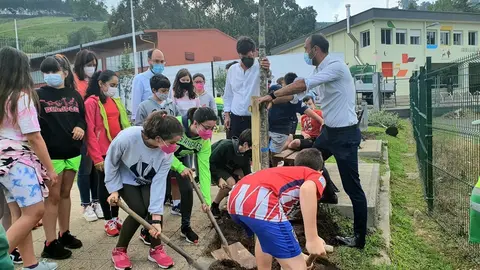 Plantaci&oacute;n en el coleigo Manuel Lia&ntilde;o