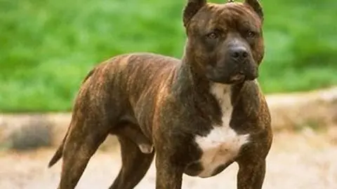 fotonoticia_20180303181101_1200