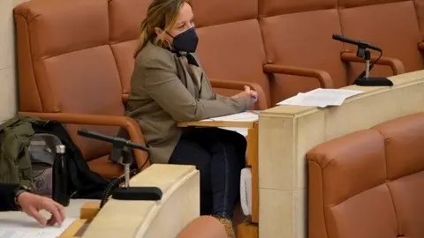 La diputada del PP Isabel Urrutia en el Parlamento de Cantabria