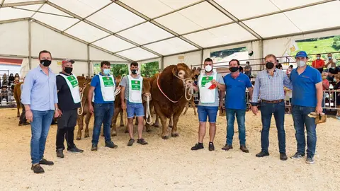 Concurso Monogr&aacute;fico Raza Limus&iacute;n &lsquo;Paulino G&oacute;mez&rsquo;