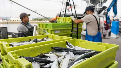 Archivo - Capturas de pesca.- Archivo
