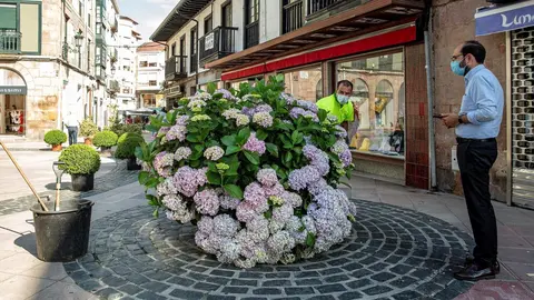 Calles decoradas con plantas por el Concurso de Jardines