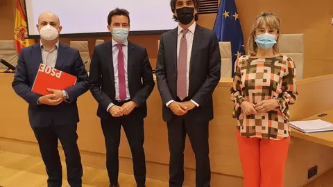 El diputado del PSOE por Cantabria, Pedro Casares, en la Comisi&oacute;n de Econom&iacute;a del Congreso