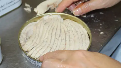 Archivo - Ventresca de bonito 