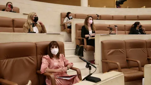 La consejera de Empleo y Pol&iacute;tica Social, Ana Bel&eacute;n &Aacute;lvarez