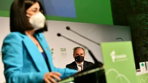 Archivo - Ministra de Sanidad, Carolina Darias.