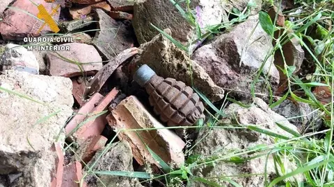 Granada encontrada en Vargas