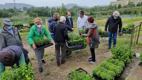 Reparto de plantas a los usuarios de huertos sostenibles