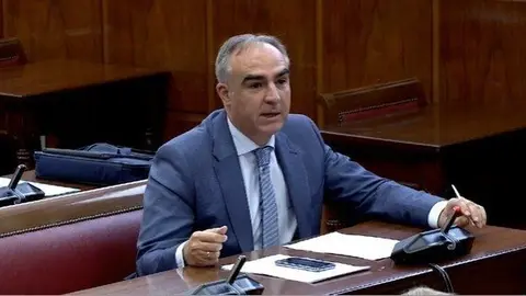 El senador del PP por Cantabria Javier Puente