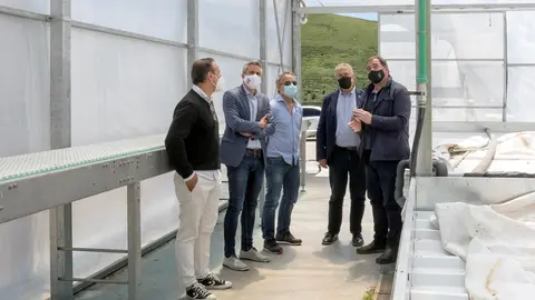 El Vicepresidente Y Consejero De Universidades, Igualdad, Cultura Y Deporte, Pablo Zuloaga, Visita Una Empresa De Cultivos De Invernadero Del Municipio.