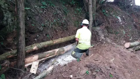 Trabajos de la CHC en Liendo