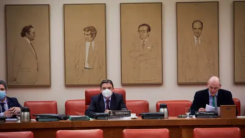 Archivo - El Ministro de Agricultura, Pesca y Alimentaci&oacute;n, Luis Planas (c), en una comparecencia en el Congreso