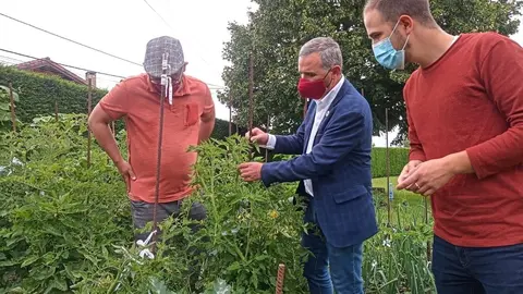 Premio al mejor productor de tomate Calidad Controlada