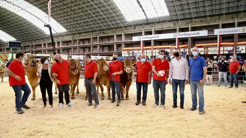 El consejero de Ganader&iacute;a, Guillermo Blanco, en el X Concurso Regional de Raza Limus&iacute;n