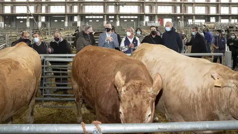 Archivo - El consejero d