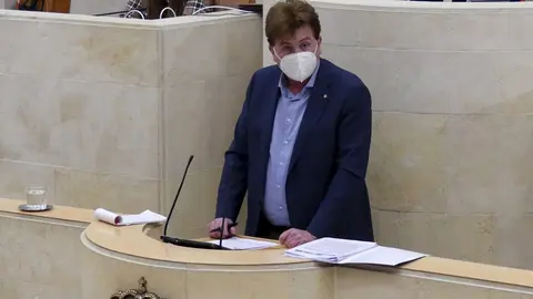 Pedro G&oacute;mez, diputado del PP c&aacute;ntabro