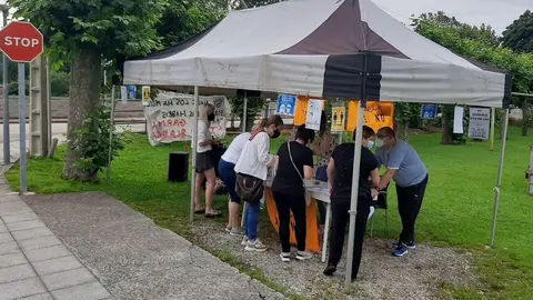 Recogida de alegaciones contra proyectos e&oacute;licos