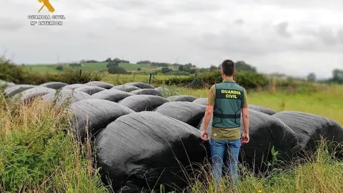 Seis detenidos por el robo de film de ensilar