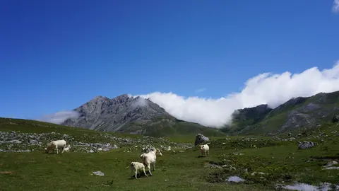 Proyecto en Picos de Europa.