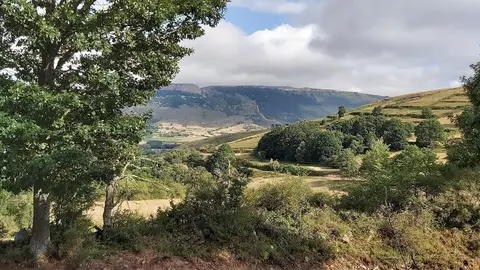 Localidad de Poblaci&oacute;n de Abajo
