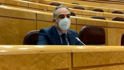 El senador del PP por Cantabria, Javier Puente.- Archivo