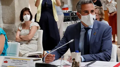 El consejero de Cultura, Pablo Zuloaga, participa en la XXIX reuni&oacute;n del Pleno de la Conferencia Sectorial de Cultura