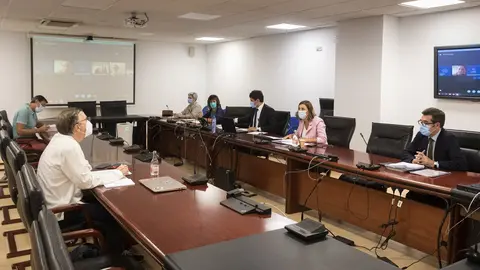 La consejera de Presidencia, Interior, Justicia y Acci&oacute;n Exterior, Paula Fern&aacute;ndez, preside la mesa sectorial de Justicia.- Archivo.