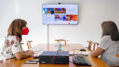 La Consejera De Empleo Y Pol&iacute;ticas Sociales, Ana Bel&eacute;n &Aacute;lvarez (Izda), Participa Por Videoconferencia En El Consejo Territorial De Servicios Ssociales Y Del Sistema Para La Autonom&iacute;a Y Atenci&oacute;n A La Dependencia