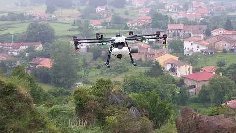 Archivo - Servicio de drones para aplicaci&oacute;n de productos fitosanitarios en Cab&aacute;rceno para control de plumeros.