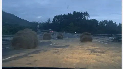 C41C94E6-9D28-4818-B10A-E27CE832EB8B