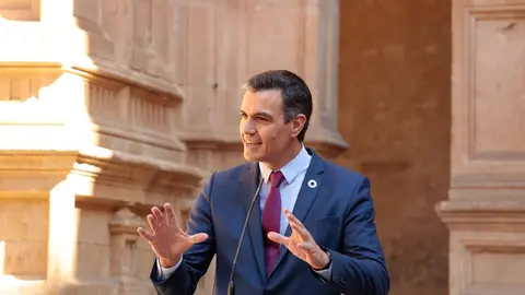 El presidente del Gobierno, Pedro S&aacute;nchez,